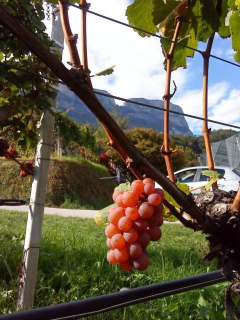 Tinnerhof Appiano Sulla Strada Del Vino Exterior photo